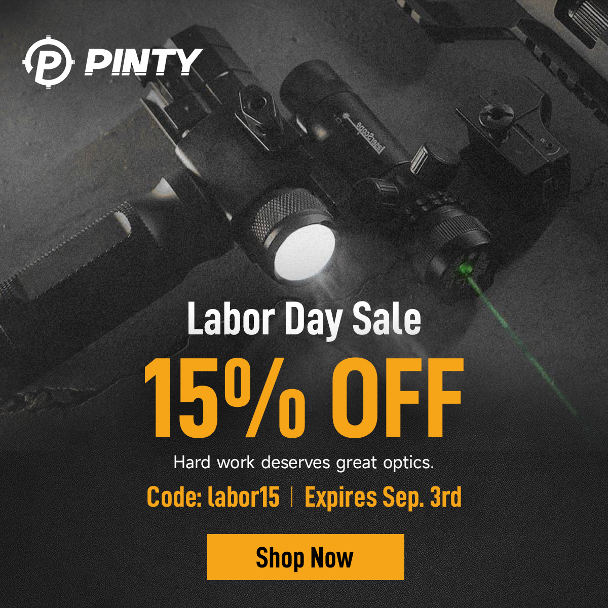 Pinty boxshot